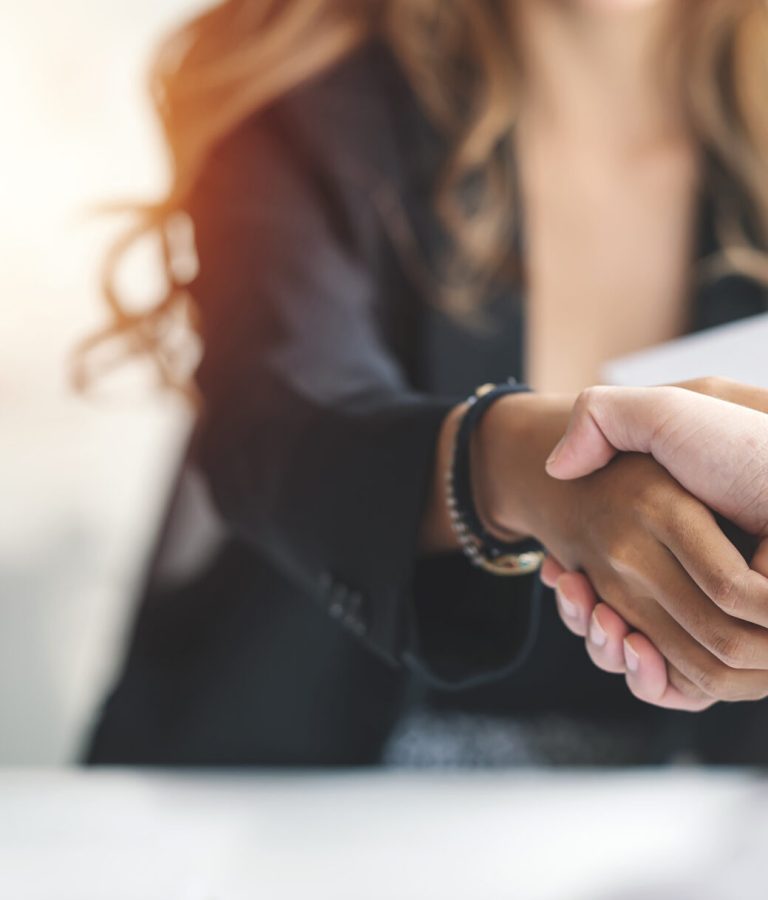 Businesswoman handshake and business people. Successful business concept.